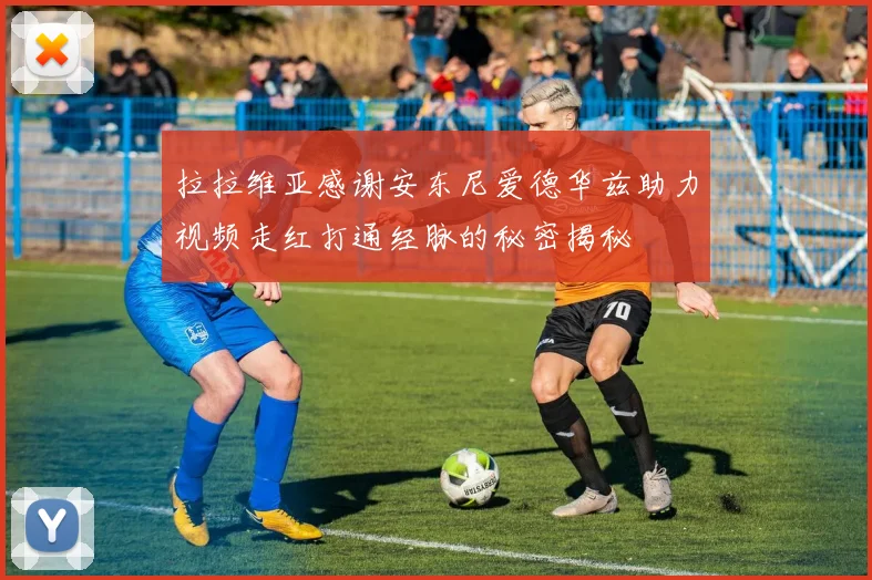 拉拉维亚感谢安东尼爱德华兹助力视频走红打通经脉的秘密揭秘