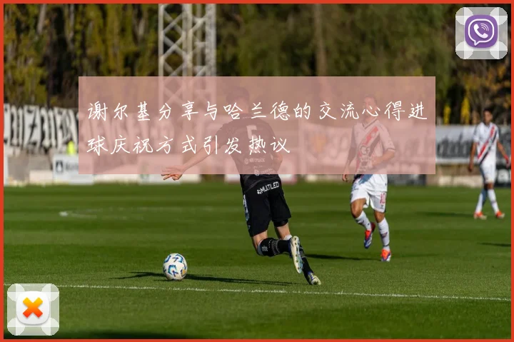 谢尔基分享与哈兰德的交流心得进球庆祝方式引发热议