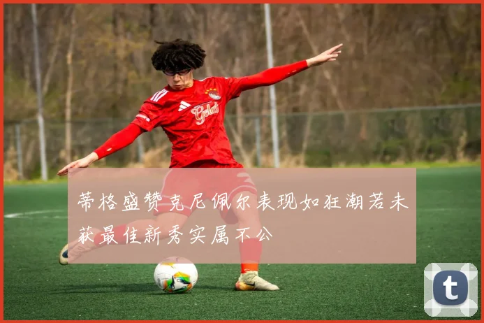 蒂格盛赞克尼佩尔表现如狂潮若未获最佳新秀实属不公