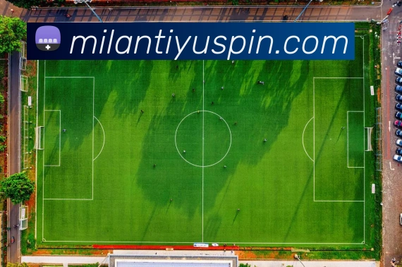 米兰体育平台生态图