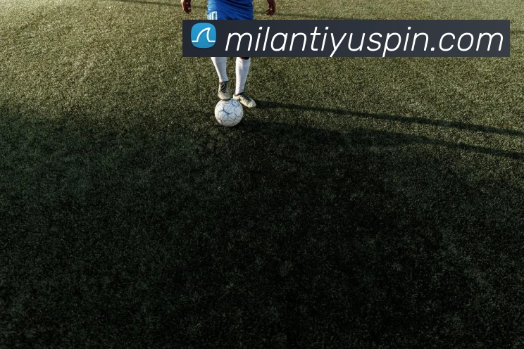 米兰体育APP 封面图