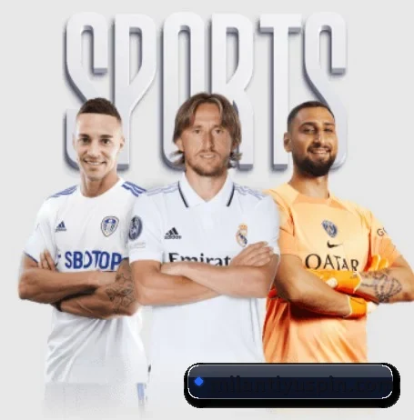米兰体育的方向 | MILANSPORT
